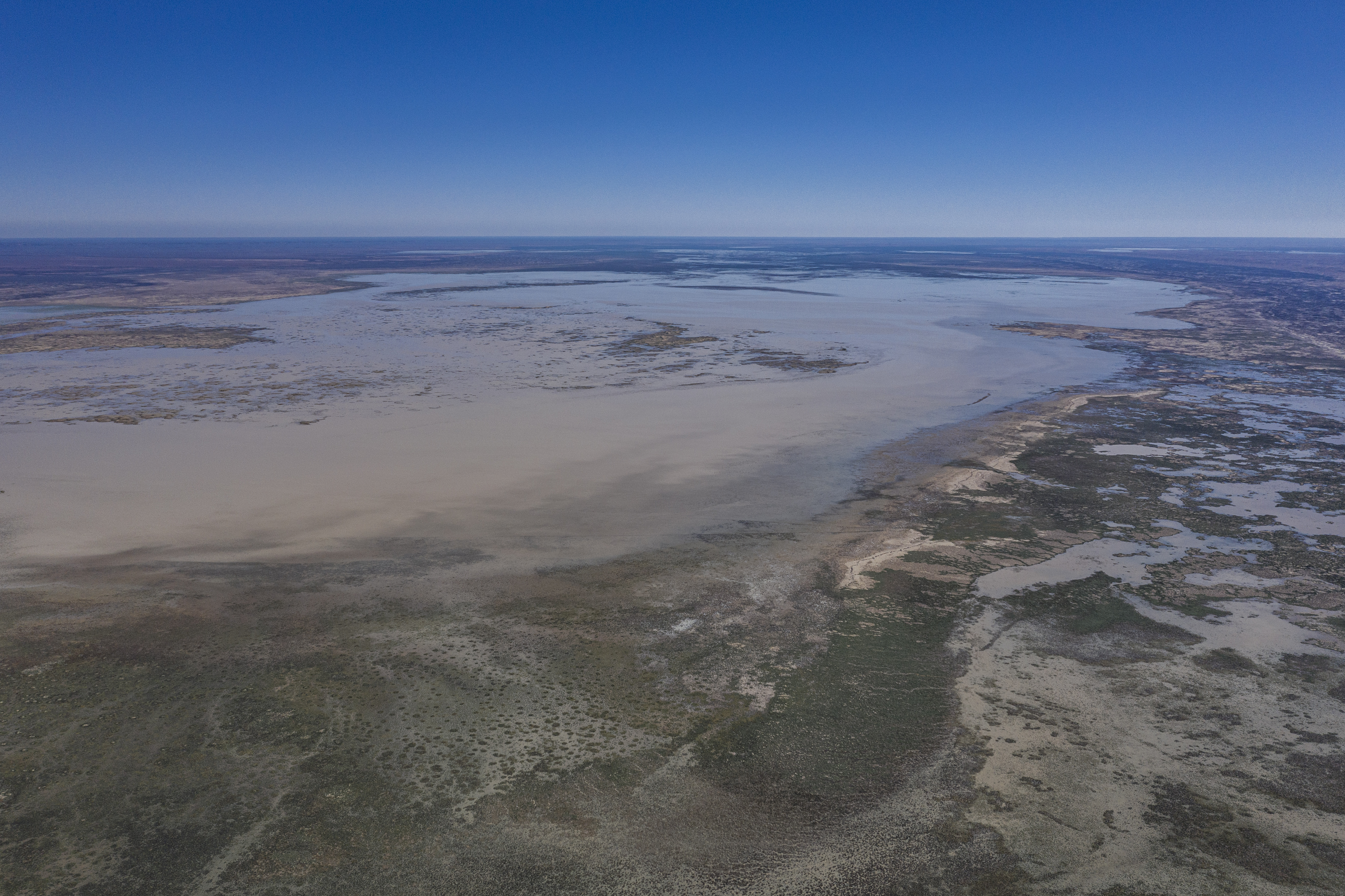 Caryapundy Swamp